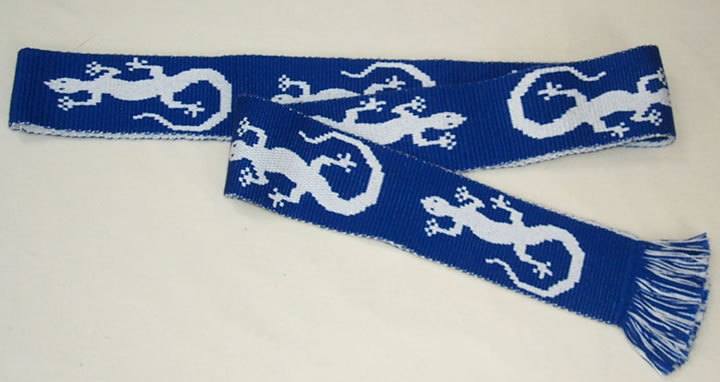 Lizards