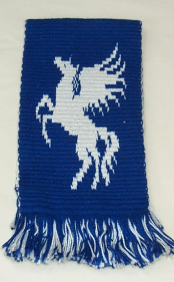 Pegasus Salient